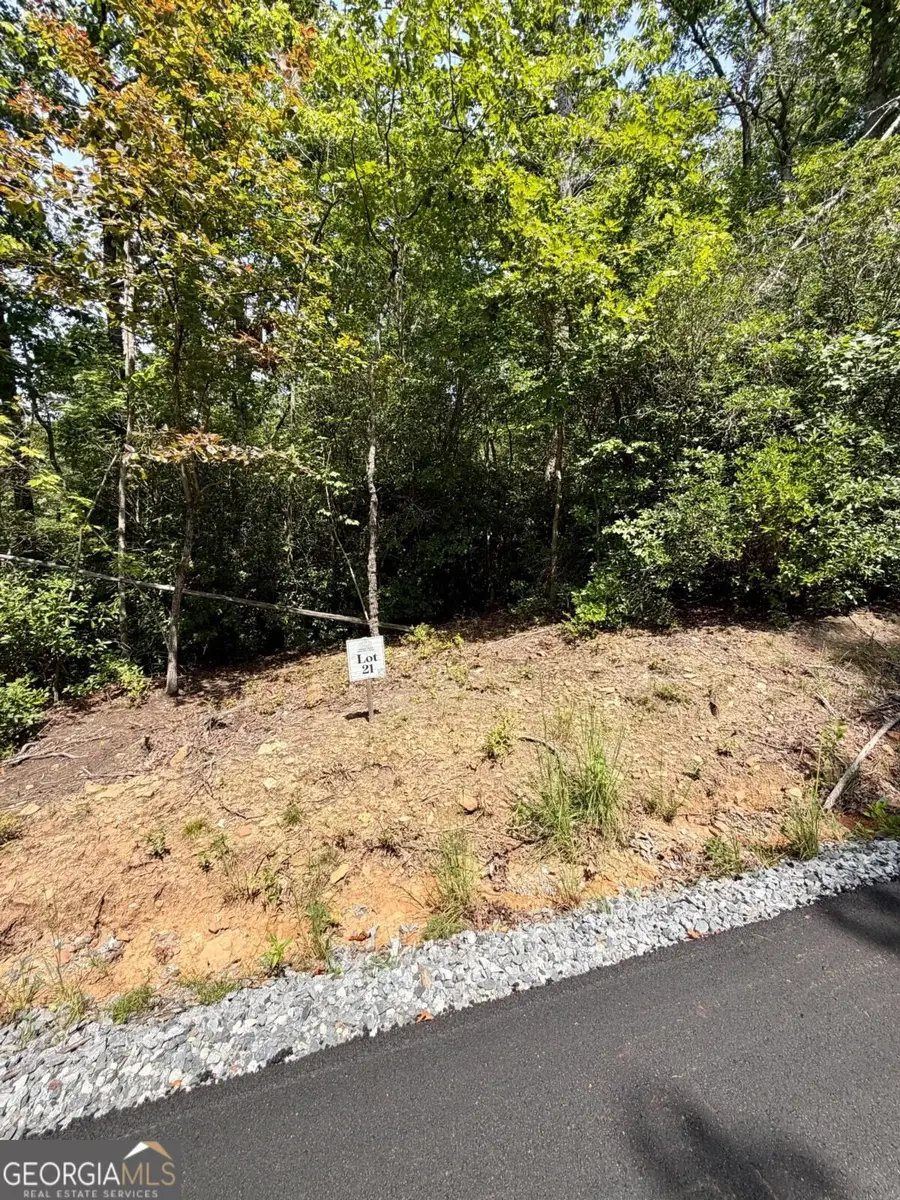 LOT 21 Turquoise Ridge, Blue Ridge, GA 30513 - #3