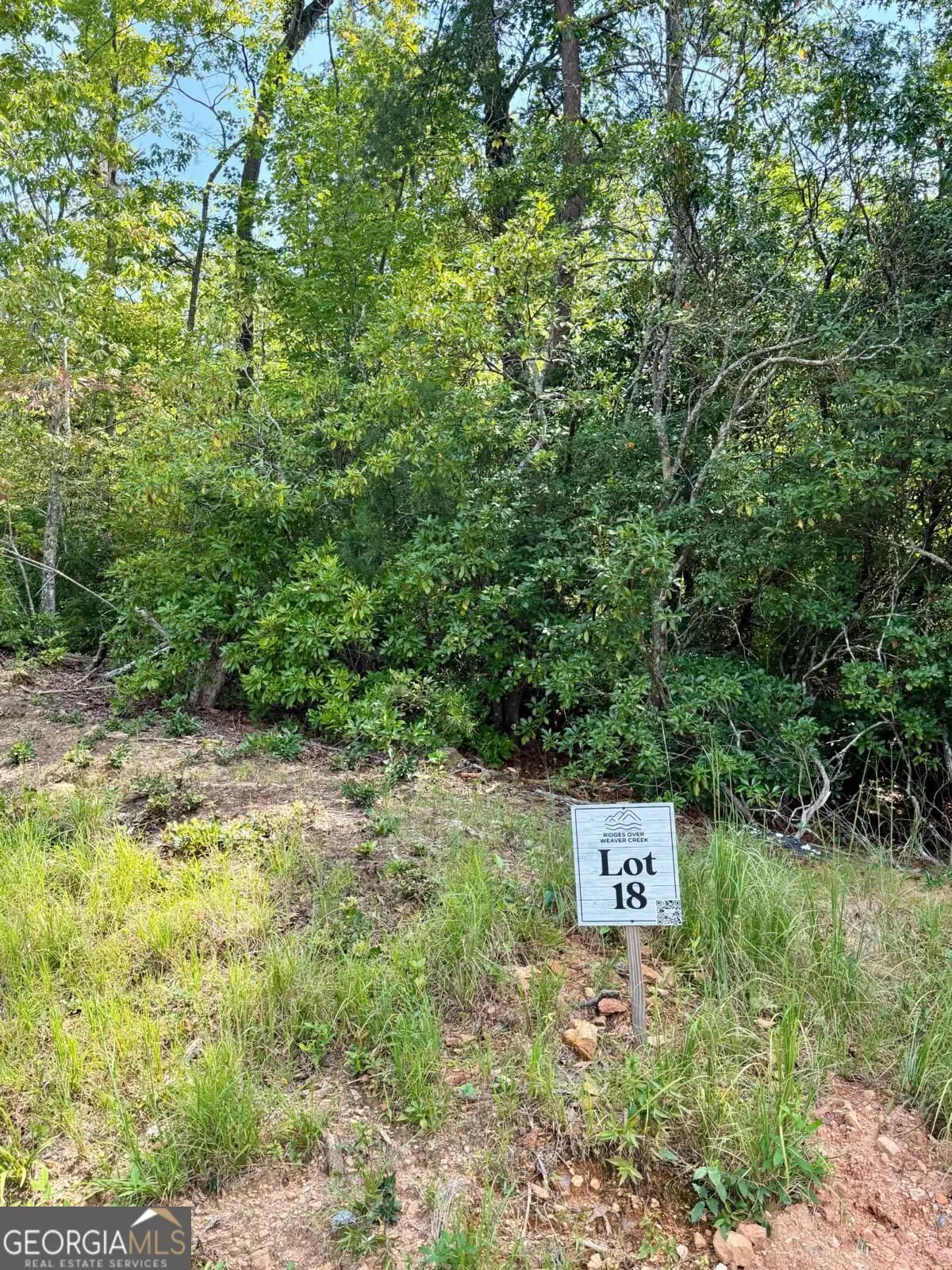 LOT 18 Turquoise Ridge, Blue Ridge, GA 30513 - #1
