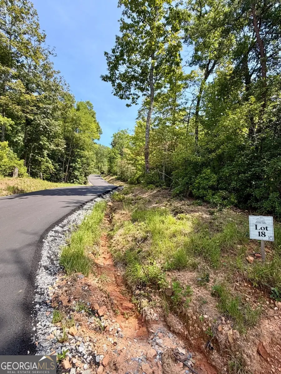 LOT 18 Turquoise Ridge, Blue Ridge, GA 30513 - #2