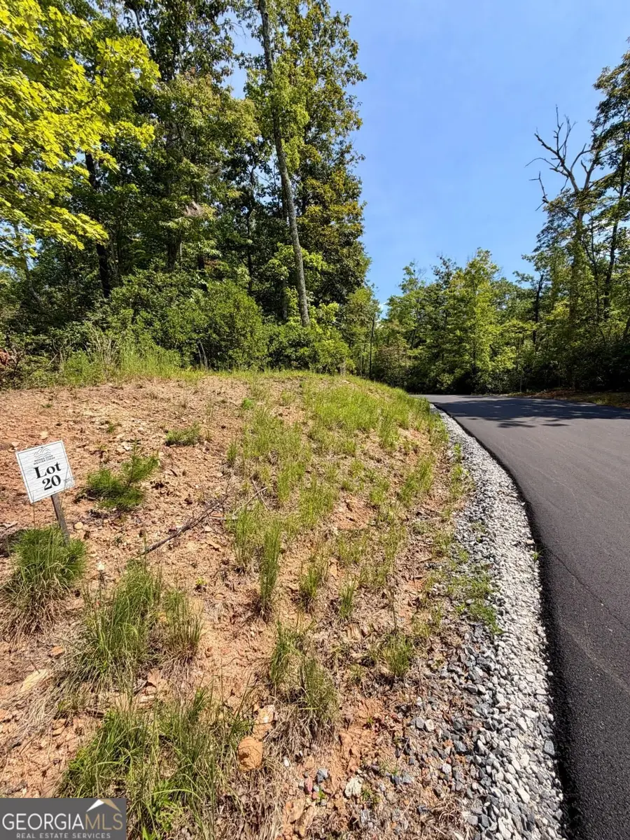LOT 20 Turquoise Ridge, Blue Ridge, GA 30513 - #2