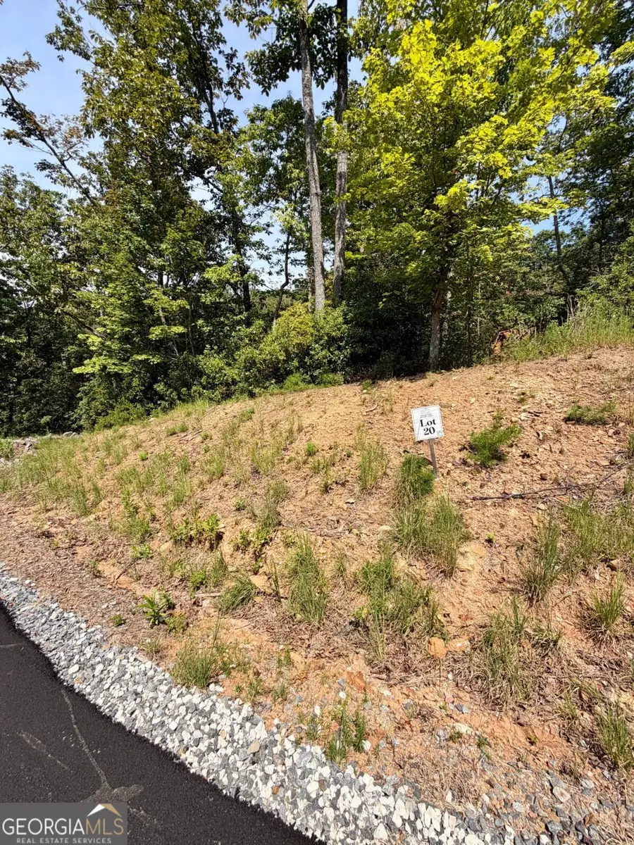 LOT 20 Turquoise Ridge, Blue Ridge, GA 30513 - #3