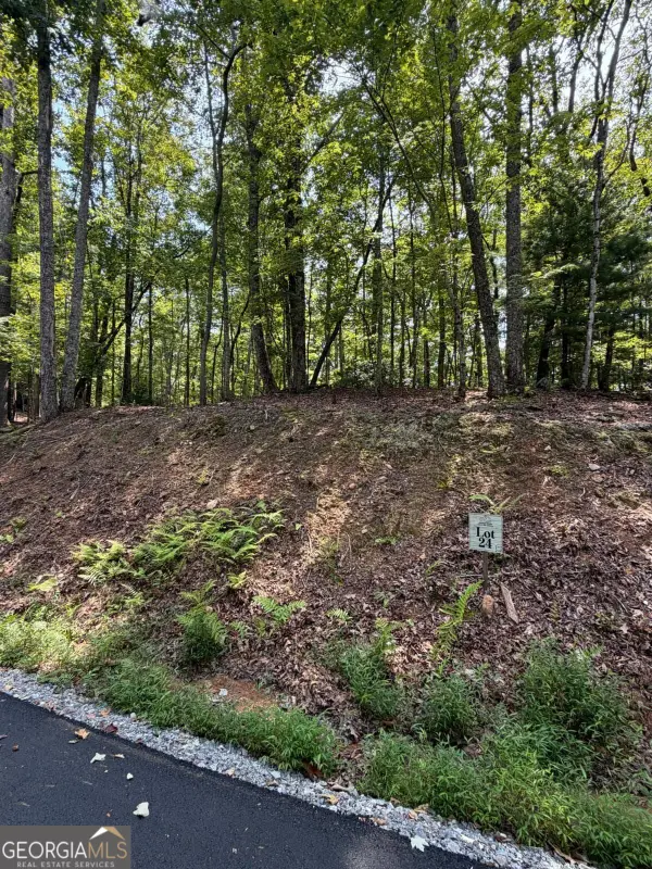 LOT 24 Prospect Ridge, Blue Ridge, GA 30513