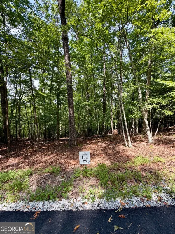 LOT 29 Prospect Ridge, Blue Ridge, GA 30513