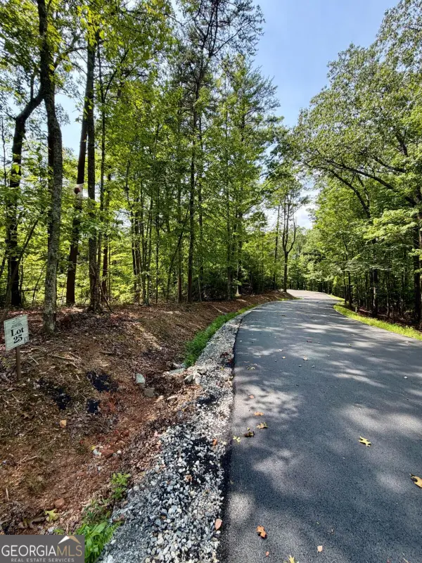 LOT 25 Prospect Ridge, Blue Ridge, GA 30513