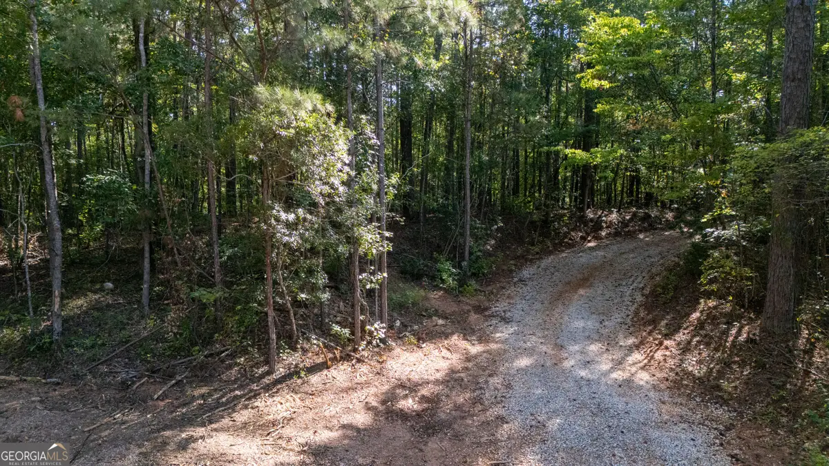1221 Us Hwy 27, Franklin, GA 30217 - #1