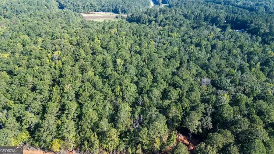 1221 Us Hwy 27, Franklin, GA 30217 - #2