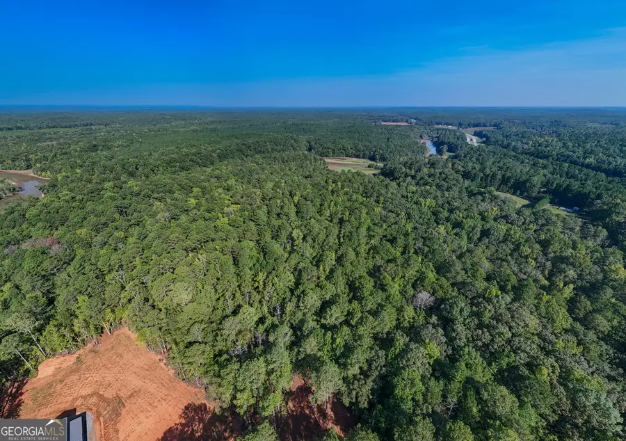 1221 Us Hwy 27, Franklin, GA 30217 - #3