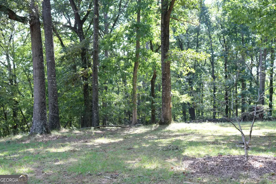 2096 Roy Woods Road, Comer, GA 30629 - #3