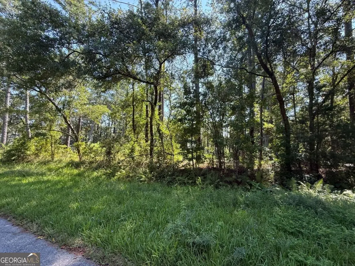 129 Sutherland Drive, Brunswick, GA 31525 - #1