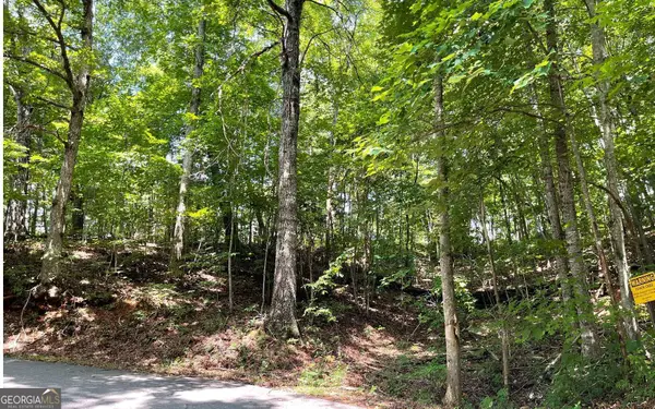 #7 Mountain Drive North, Hiawassee, GA 30546