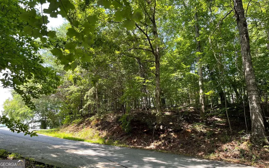 #7 Mountain Drive North, Hiawassee, GA 30546 - #2