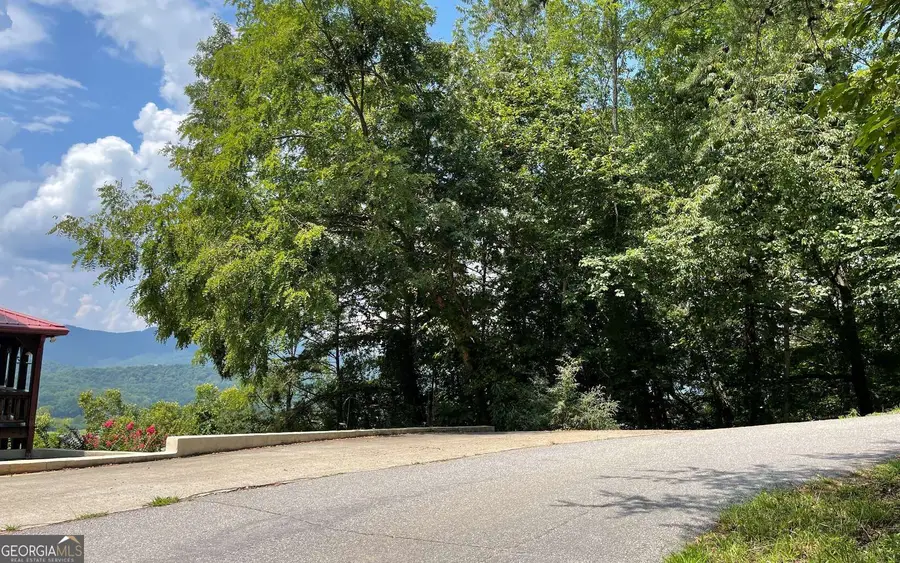 #7 Mountain Drive North, Hiawassee, GA 30546 - #3