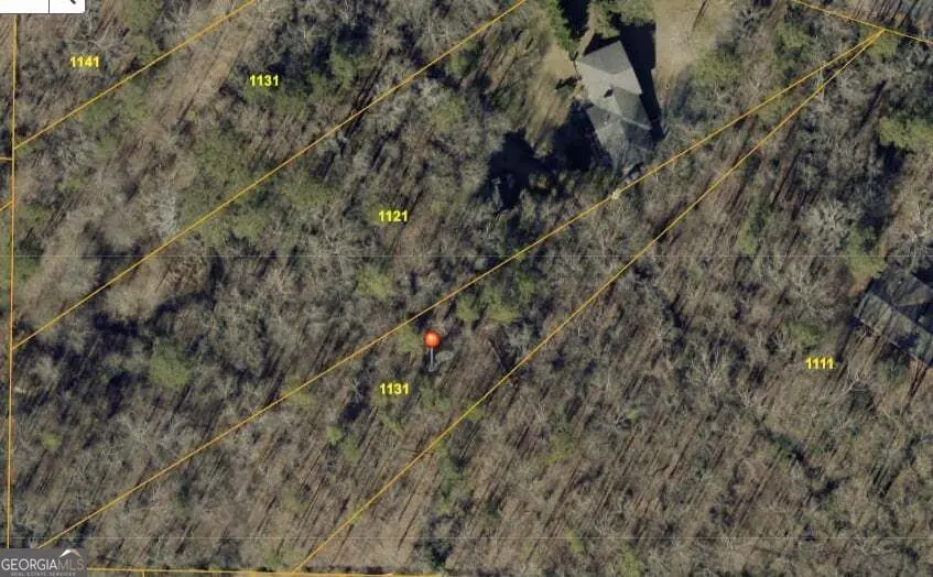 1131 Riverside Parkway, Austell, GA 30168 - #1