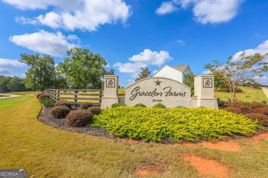 275 Graceton Farms Drive, Senoia, GA 30276 - #2