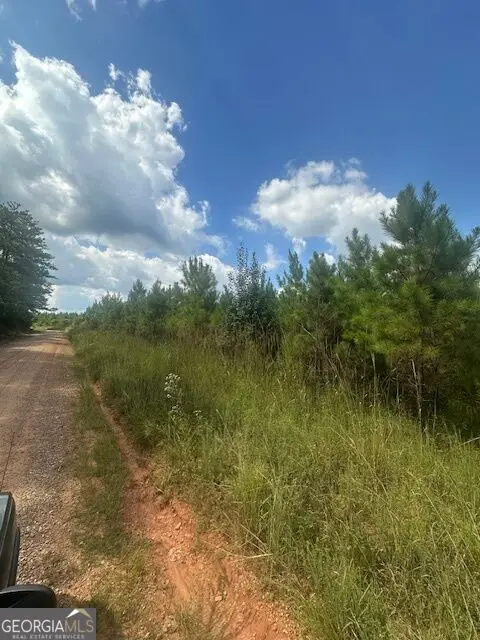 0 Cook Road #TRACT 3, Monticello, GA 31064