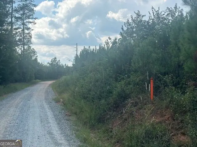 0 Cook Road #TRACT 4, Monticello, GA 31064 - #1