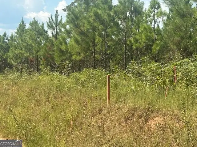0 Cook Road #TRACT 6, Monticello, GA 31064 - #2