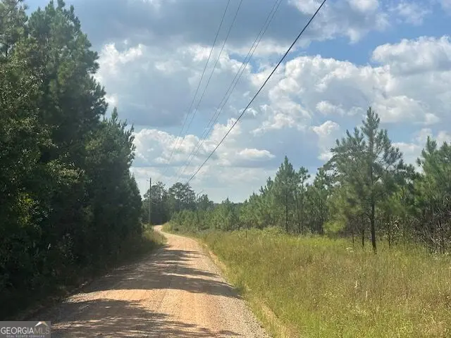 0 Cook Road #TRACT 6, Monticello, GA 31064 - #3