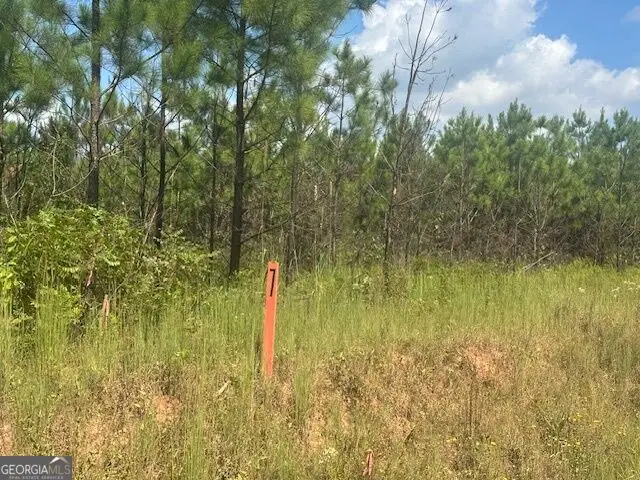 0 Cook Road #TRACT 7, Monticello, GA 31064 - #1