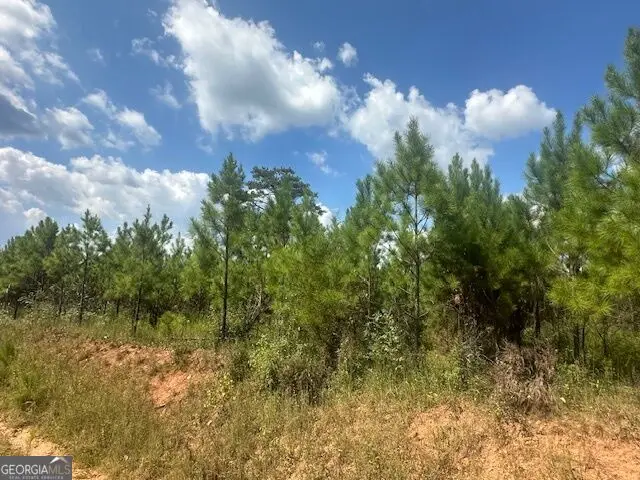 0 Cook Road #TRACT 7, Monticello, GA 31064 - #3