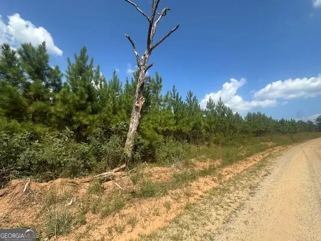 0 Cook Road #TRACT 8, Monticello, GA 31064 - #1