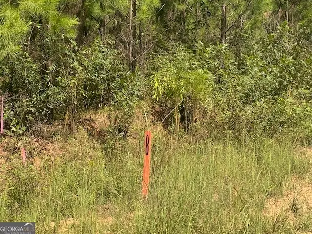 0 Cook Road #TRACT 8, Monticello, GA 31064 - #2
