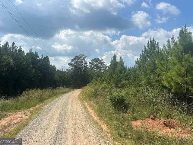 0 Cook Road #TRACT 8, Monticello, GA 31064 - #3