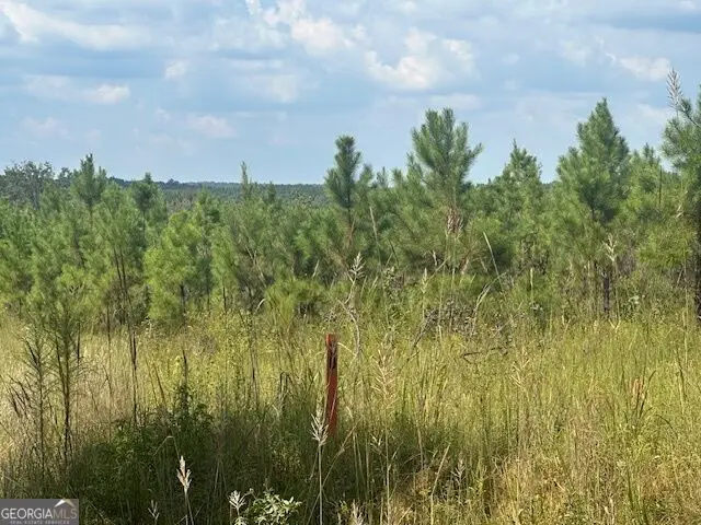 0 Cook Road #TRACT 9, Monticello, GA 31064 - #2