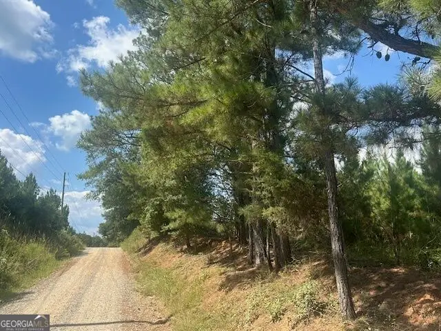 0 Cook Road #TRACT 12, Monticello, GA 31064 - #1