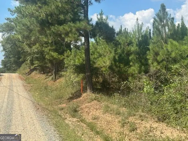 0 Cook Road #TRACT 12, Monticello, GA 31064 - #3