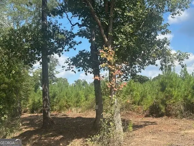 0 Millen Road #TRACT 17, Monticello, GA 31064 - #3
