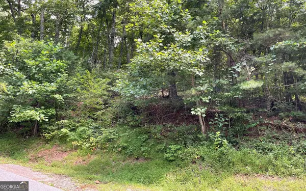 #10 Mountain Drive North, Hiawassee, GA 30546