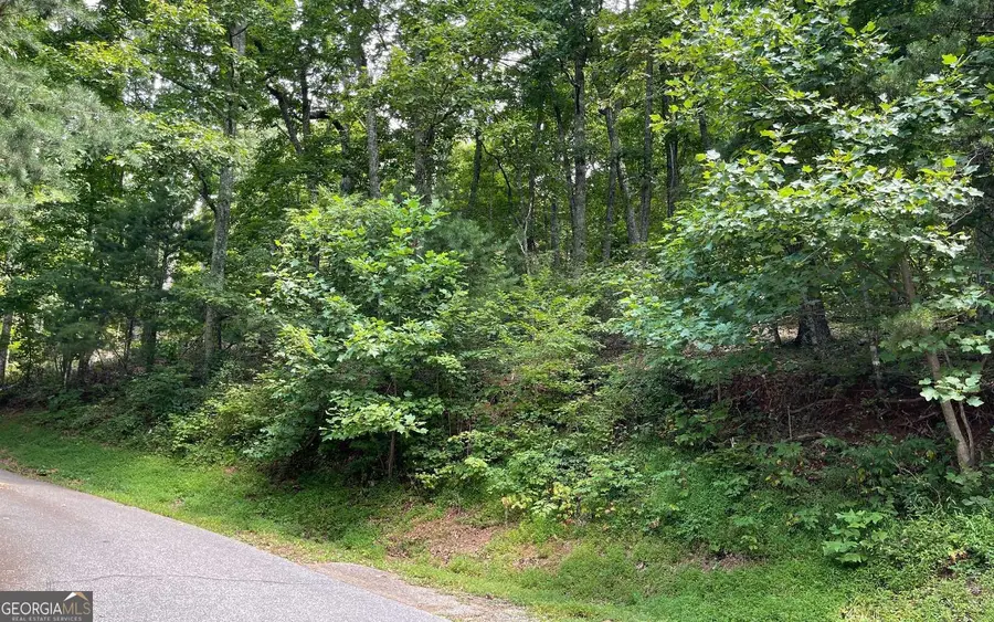 #10 Mountain Drive North, Hiawassee, GA 30546 - #2