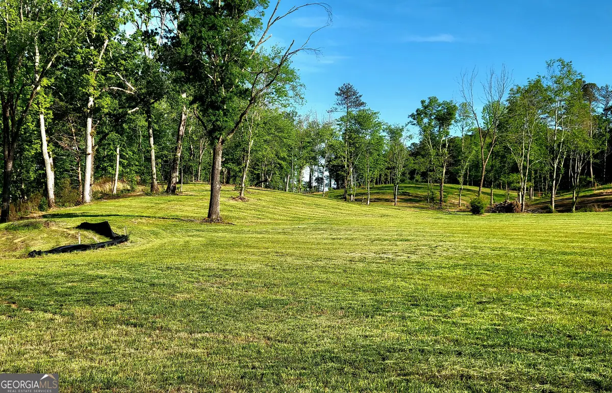 80 Mundy Road, Rydal, GA 30171 - #1