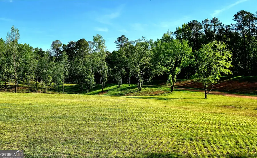 80 Mundy Road, Rydal, GA 30171 - #2