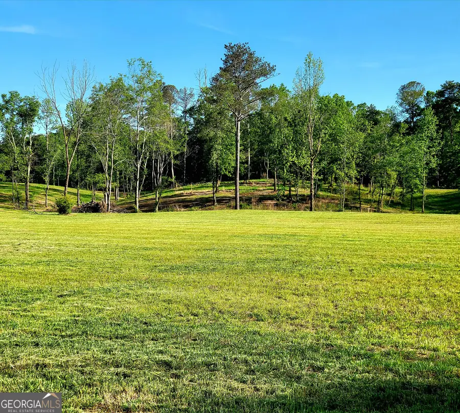 80 Mundy Road, Rydal, GA 30171 - #3