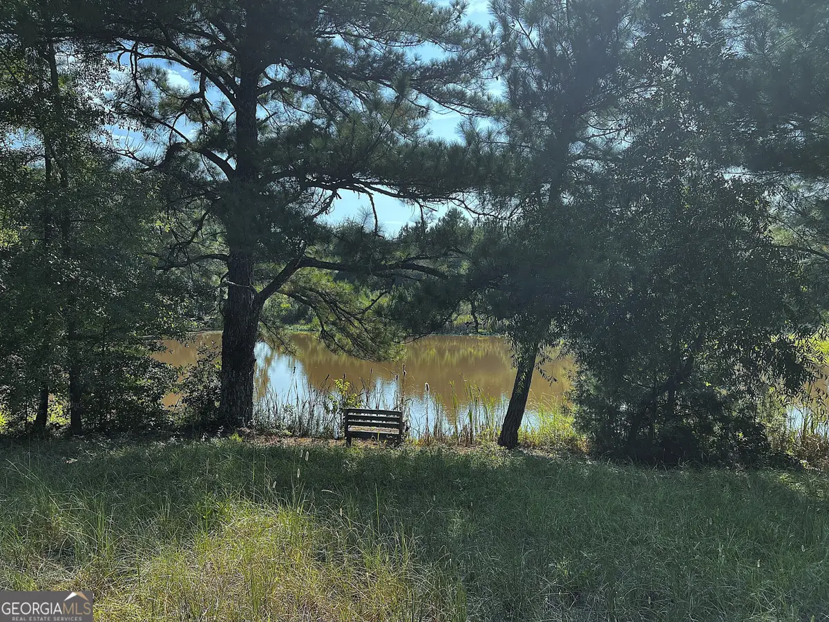 28 ACRES Hwy 36e, Thomaston, GA 30286 - #1