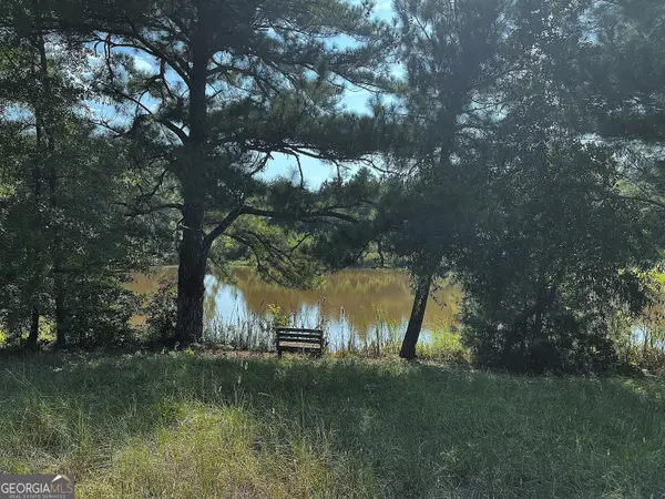 28 ACRES Hwy 36e, Thomaston, GA 30286