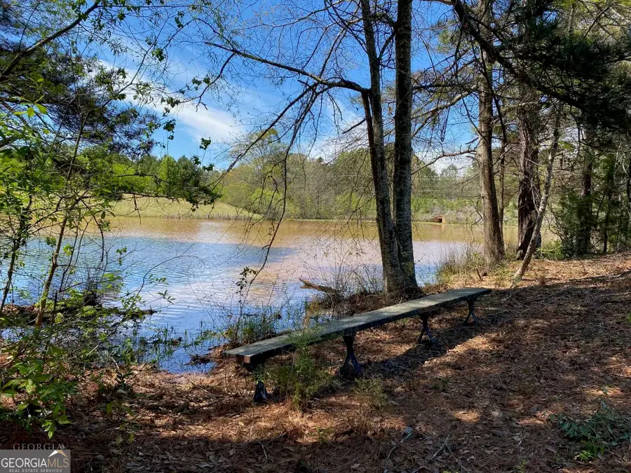 28 ACRES Hwy 36e, Thomaston, GA 30286 - #3