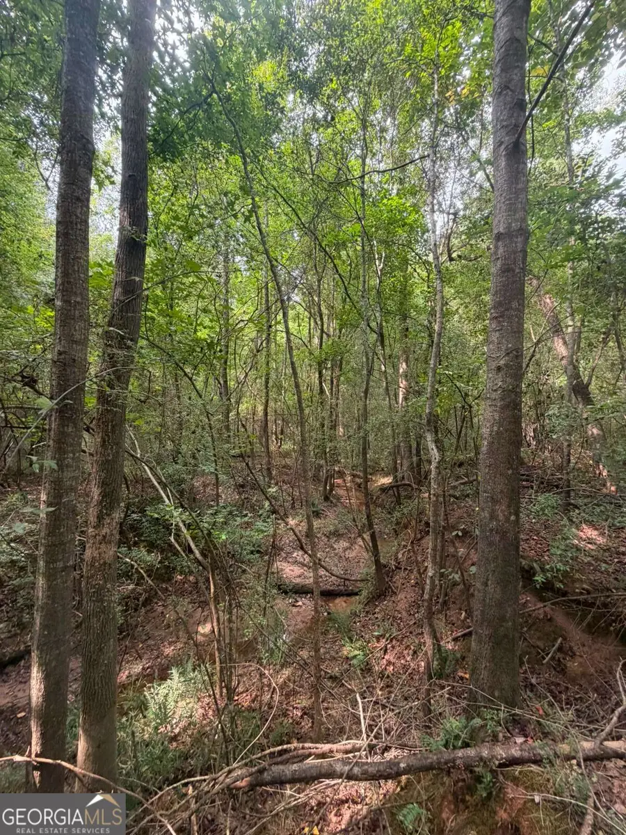 822 Tabby Lane, Athens, GA 30605 - #2