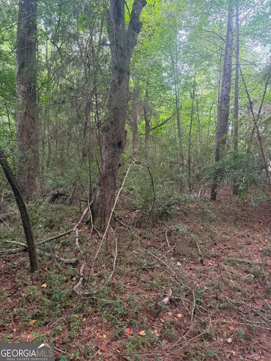 822 Tabby Lane, Athens, GA 30605 - #3