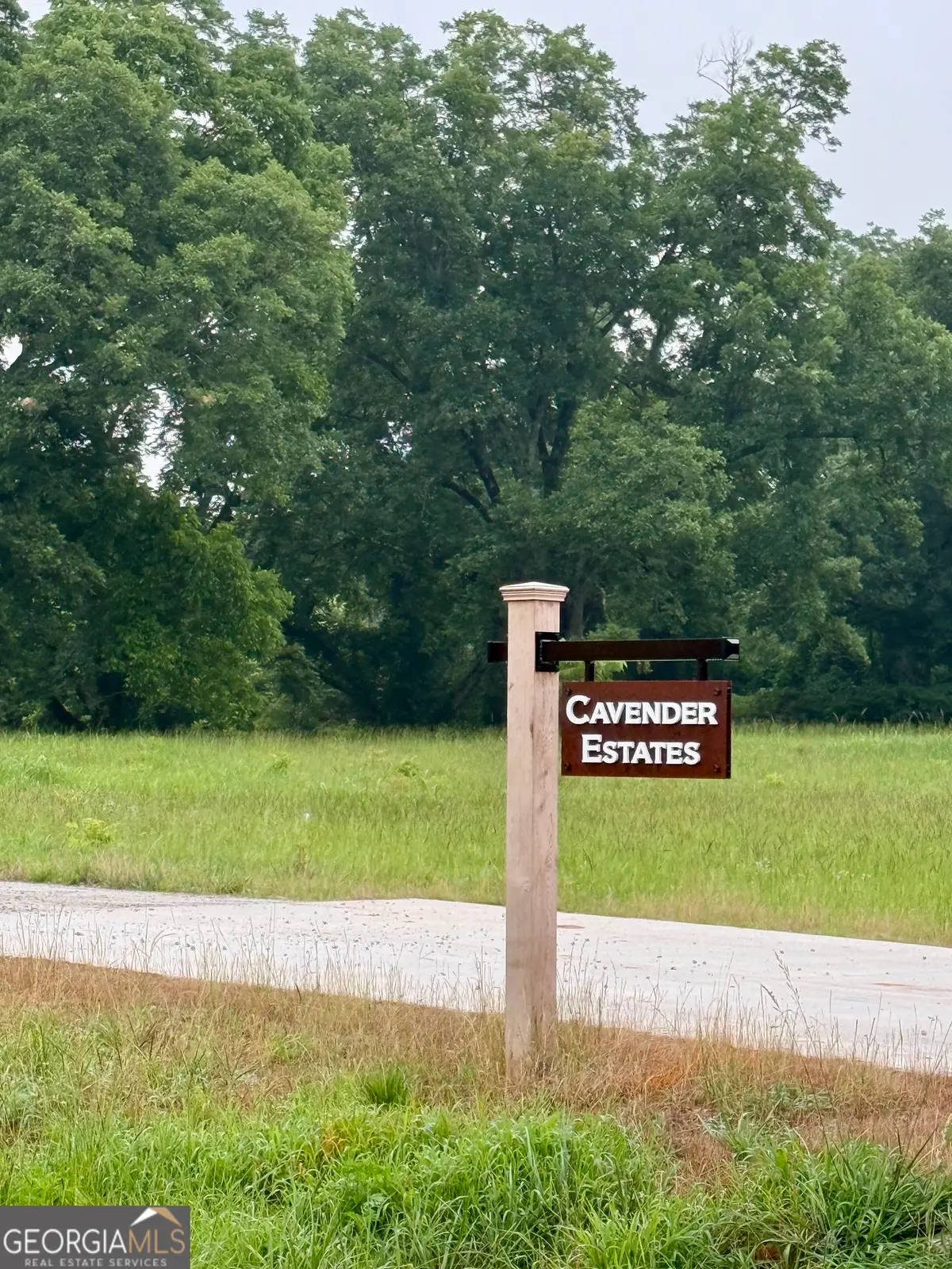 0 Bob Smith Road #1, Sharpsburg, GA 30277 - #1