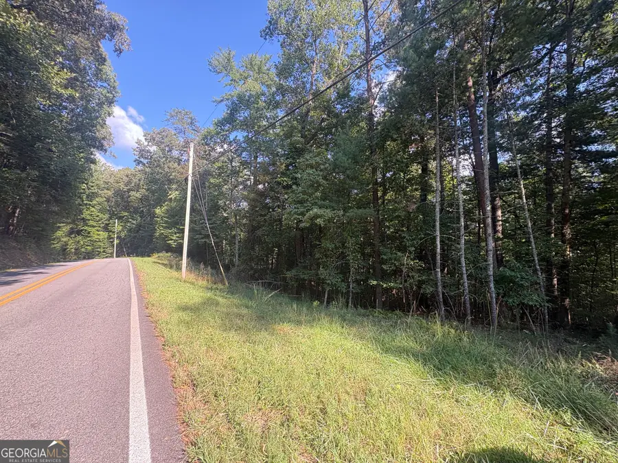 0 Macedonia Church Road, Blue Ridge, GA 30513 - #2