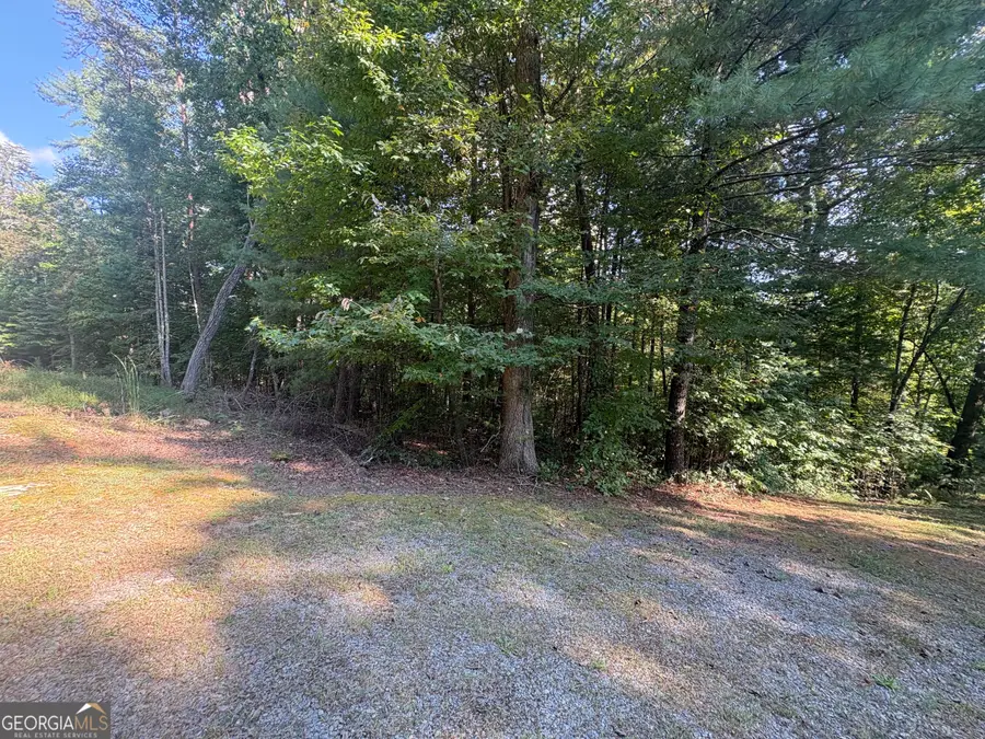 0 Macedonia Church Road, Blue Ridge, GA 30513 - #3
