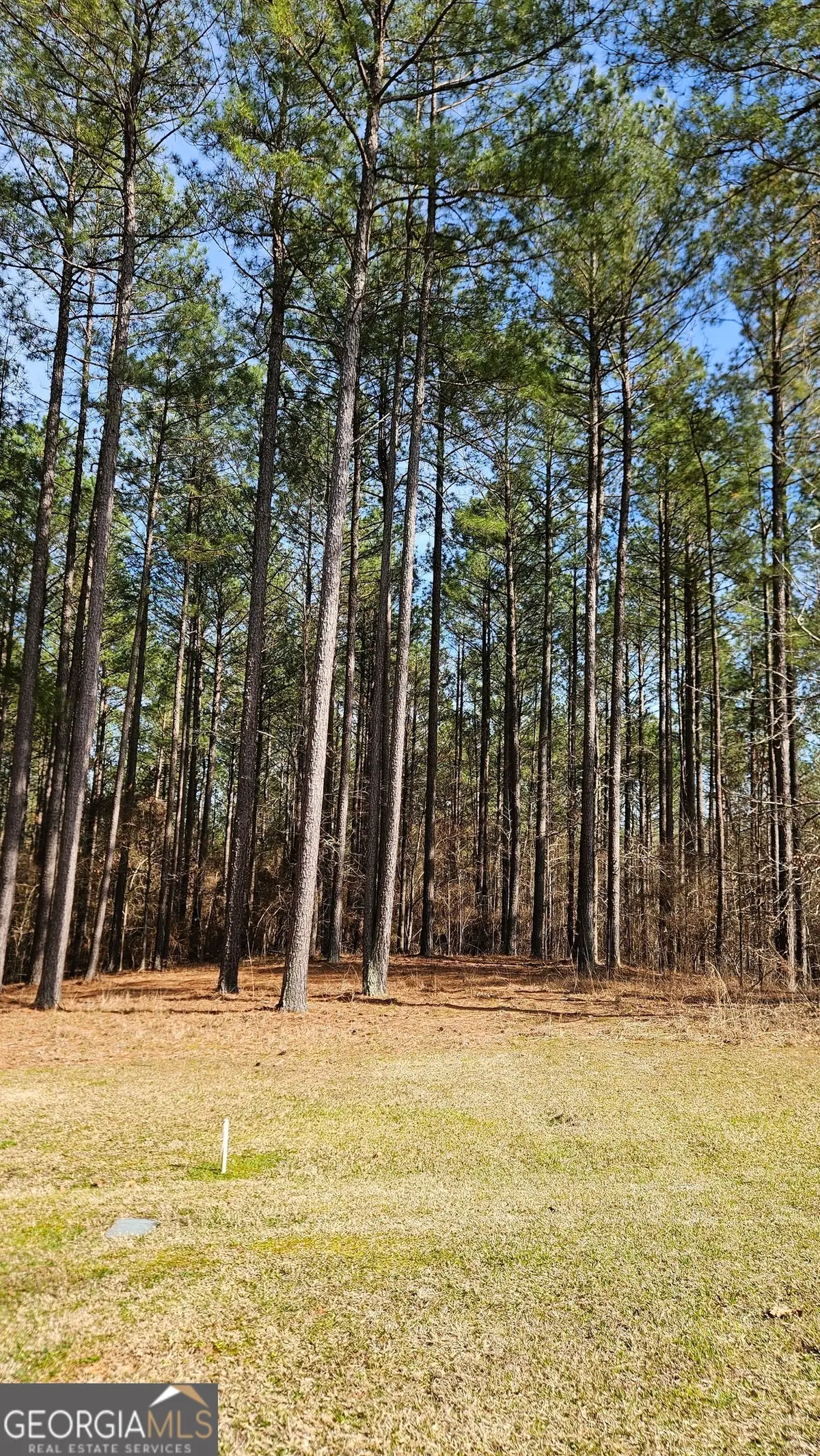 1121 Apalachee Meadows Drive, Madison, GA 30650 - #1