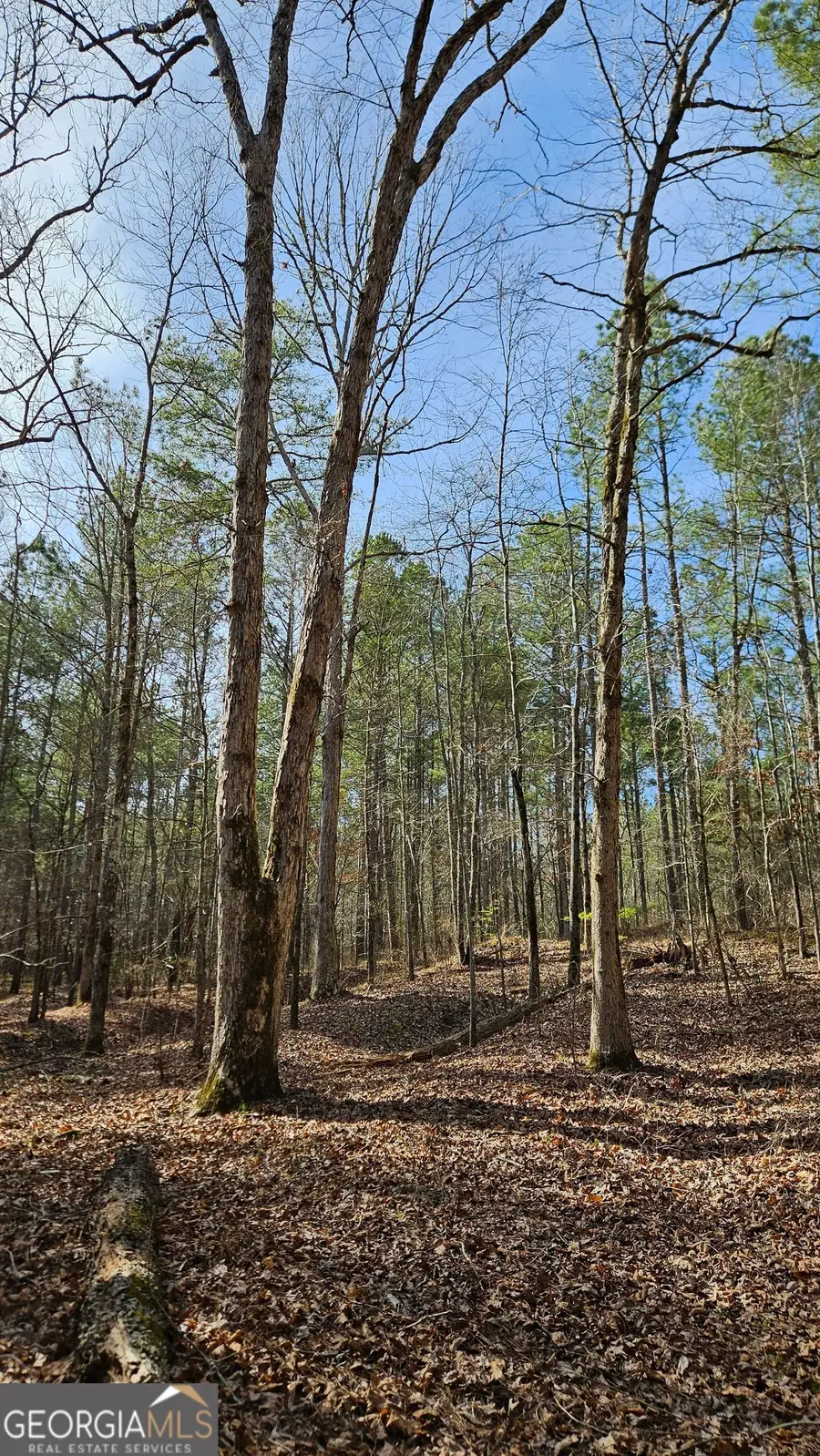 1121 Apalachee Meadows Drive, Madison, GA 30650 - #2