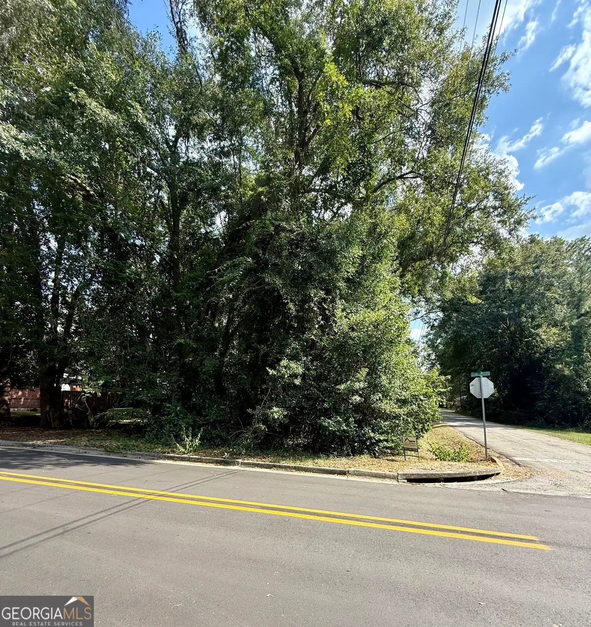 0 Abram Street, Sylvania, GA 30467 - #1
