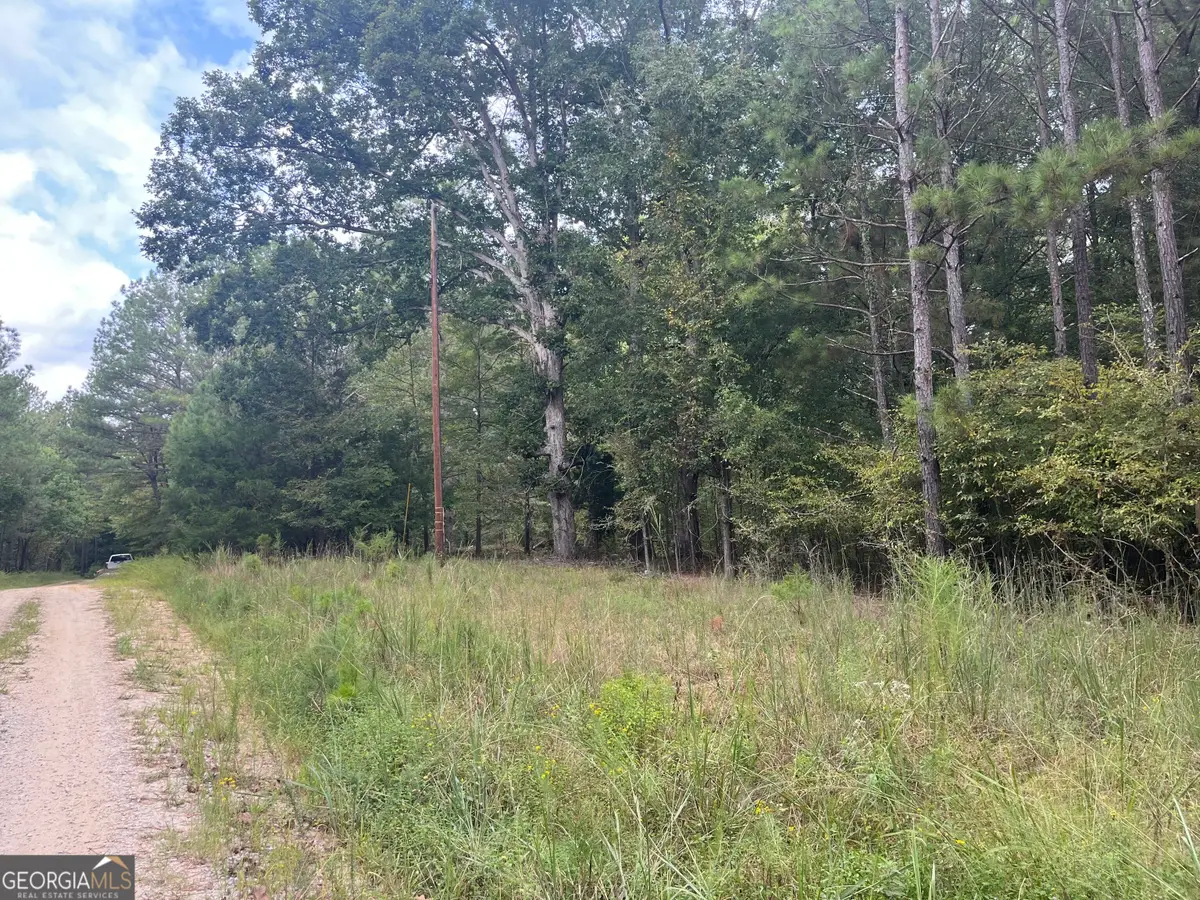 0 Vinson Road, Tignall, GA 30668 - #1