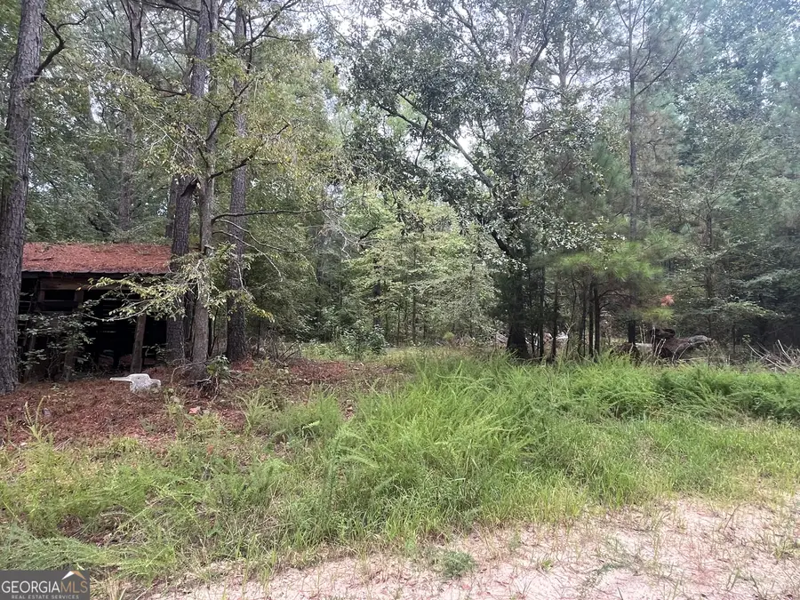 0 Vinson Road, Tignall, GA 30668 - #2