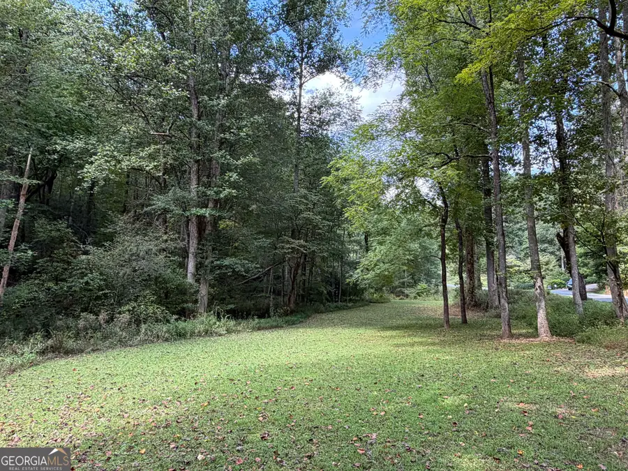 6.13 AC Lucius Road, Cherry Log, GA 30522 - #3